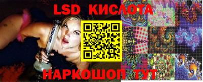 винт Сланцы